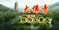 骚B好想被艹,啊啊啊在线免费下载中国浙江-新昌大佛寺旅游风景区